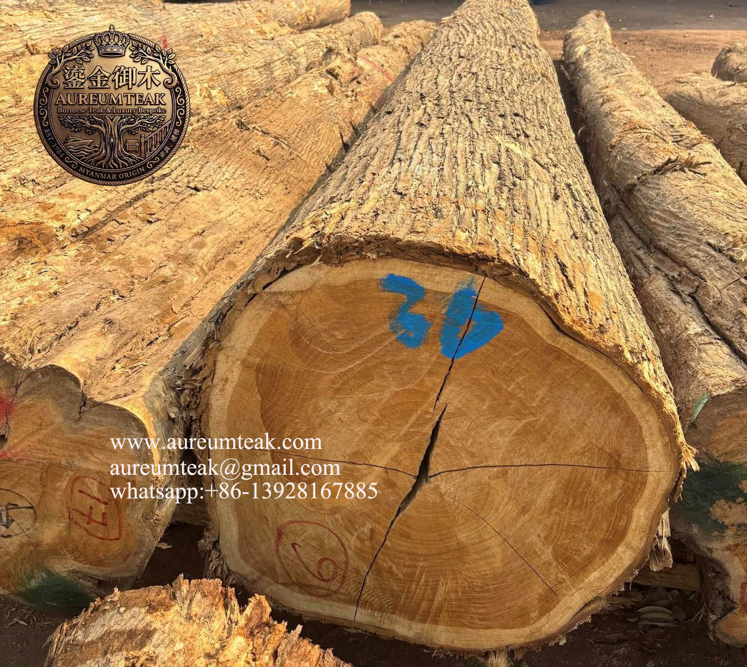 Wholesale Premium Natural Golden Burma Teak Wood Logs & Lumber | High-End Joinery, Luxury Interiors & Furniture Grade Timber by Aureum Teak