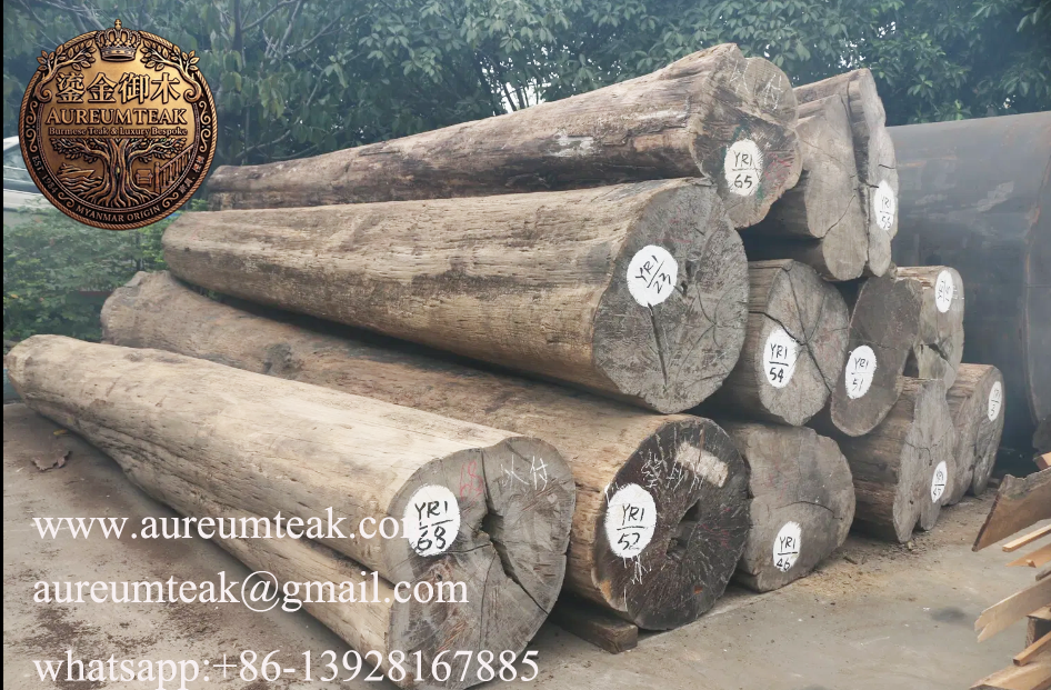 Aureum Teak™ Sustainable Burma Teak Wood Logs & Sawn Timber for Elegant Furniture Design and Luxury Yacht Decking – Grade I, Factory Direct Supply