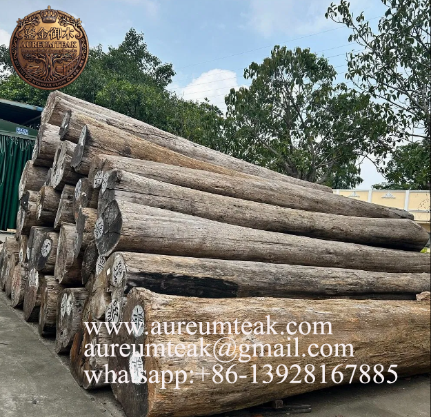 Aureum Teak™ Sustainable Burma Teak Wood Logs & Sawn Timber for Elegant Furniture Design and Luxury Yacht Decking – Grade I, Factory Direct Supply