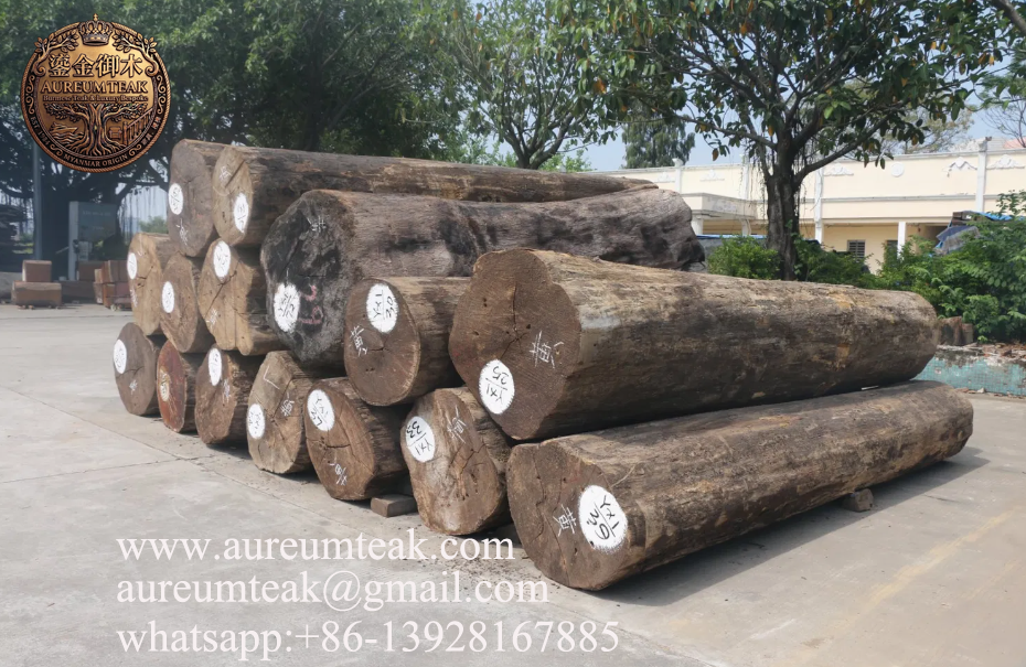Aureum Teak™ Sustainable Burma Teak Wood Logs & Sawn Timber for Elegant Furniture Design and Luxury Yacht Decking – Grade I, Factory Direct Supply