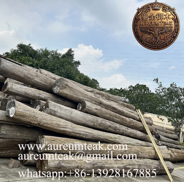 Aureum Teak™ Sustainable Burma Teak Wood Logs & Sawn Timber for Elegant Furniture Design and Luxury Yacht Decking – Grade I, Factory Direct Supply